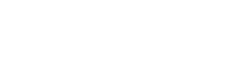 ZZP Schakel